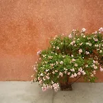 Casa vacanze 18th Century 2-bed House Sleeps 6