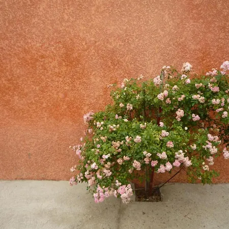 Tatil Evi 18th Century 2-bed House Sleeps 6